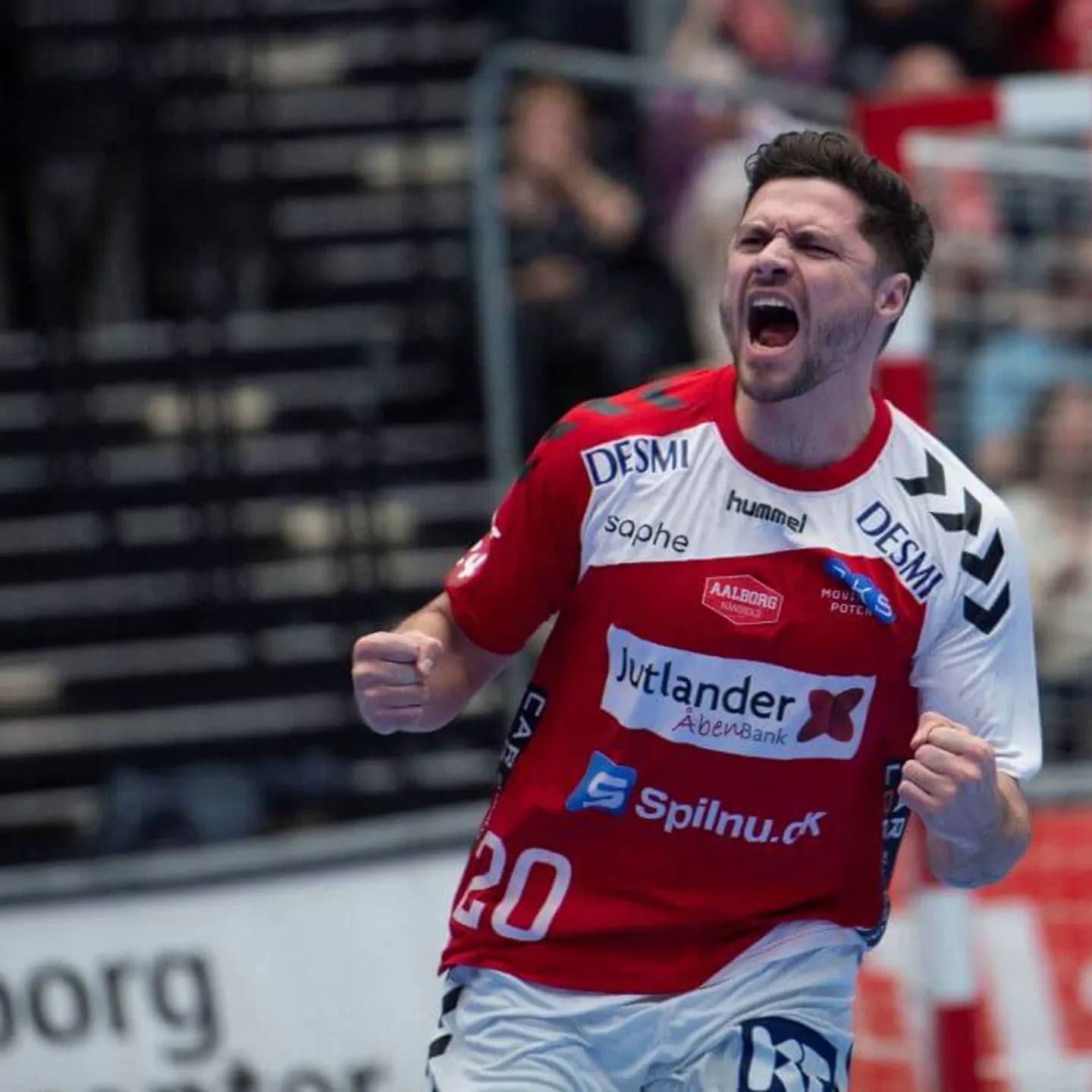 Aalborg Håndbold Foto