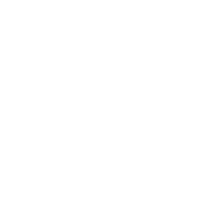 Bjerringbro Silkeborg Håndbold