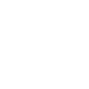 Vendsyssel FF