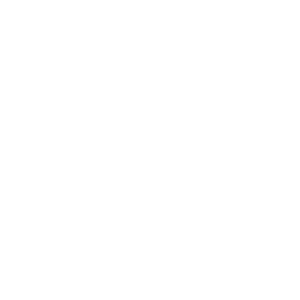 Vejen Basketball Klub